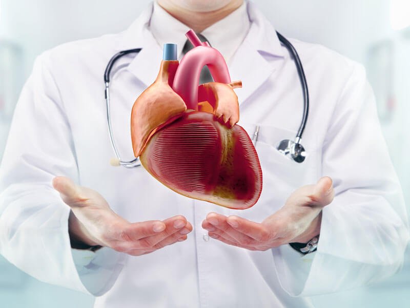 Cardiology
